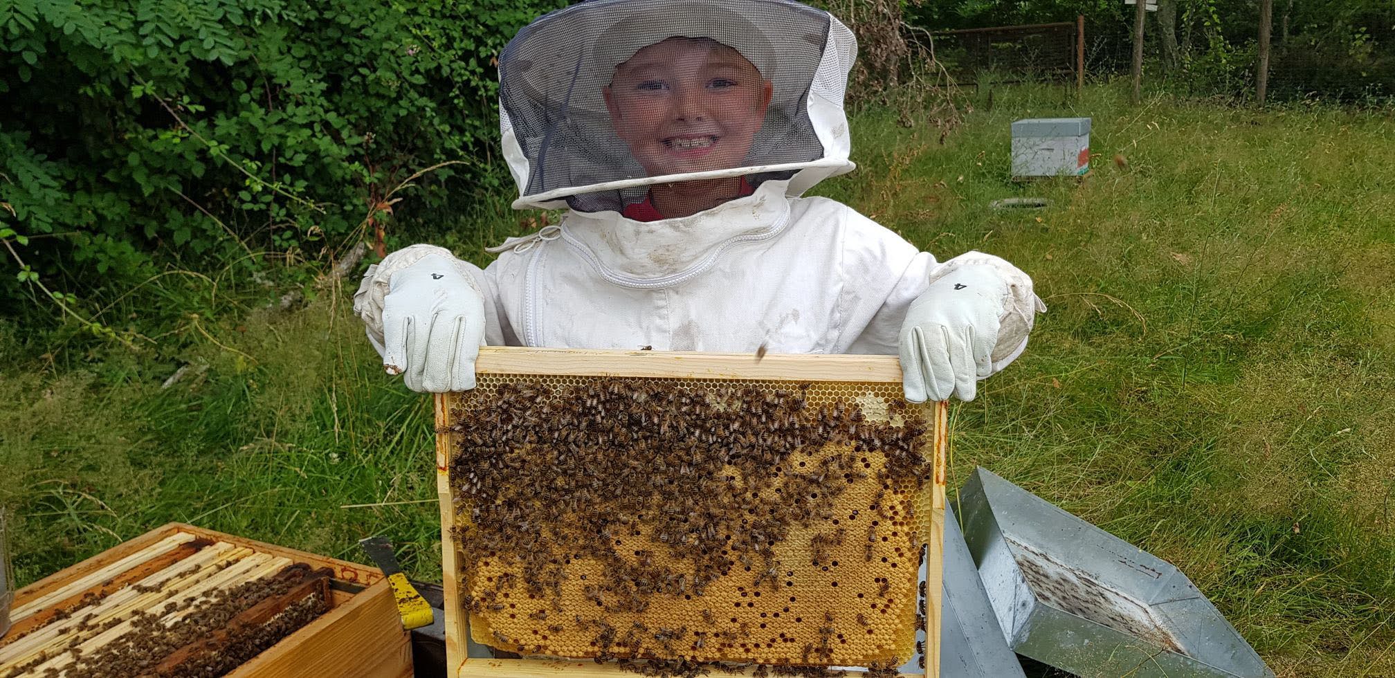 Photo d'une ruche de Ô temps des abeilles, rucher sur Marions près de Bazas